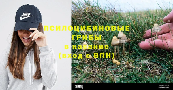 каннабис Алзамай