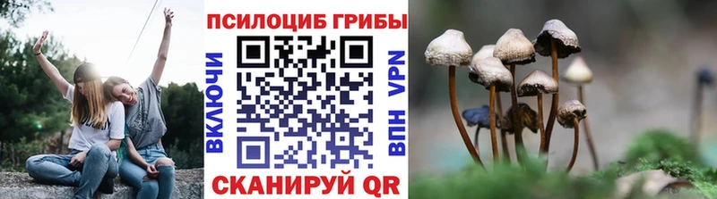 Псилоцибиновые грибы Psilocybine cubensis продажа наркотиков Дмитриев